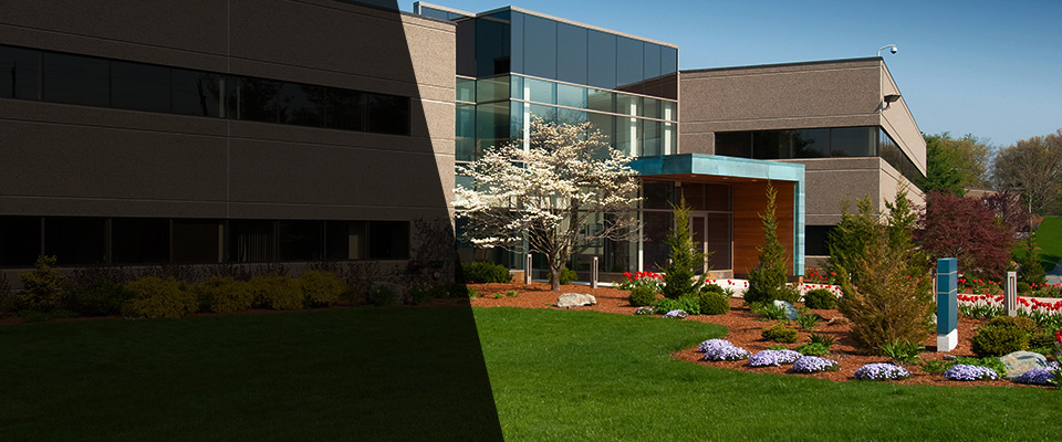 Chino Valley Landscapers