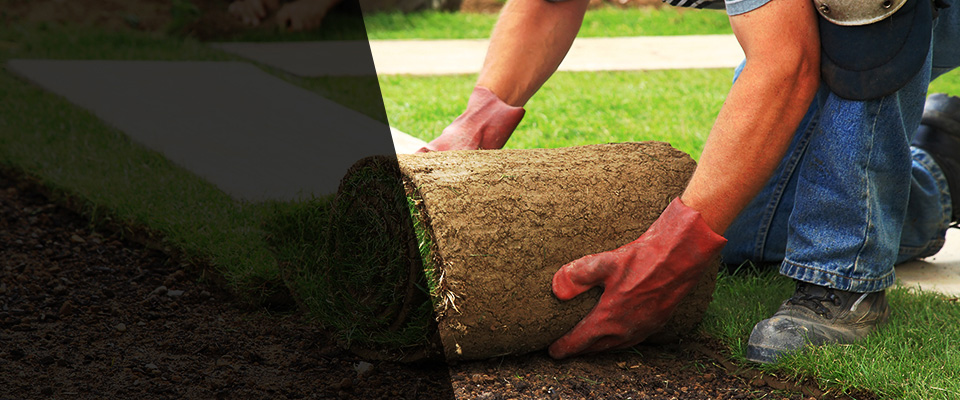 Chino Valley Landscapers